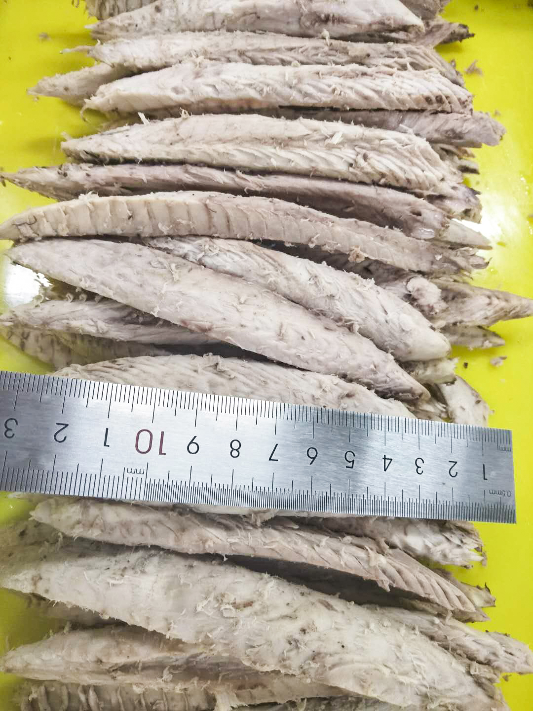 微信圖片_20190404141110.jpg